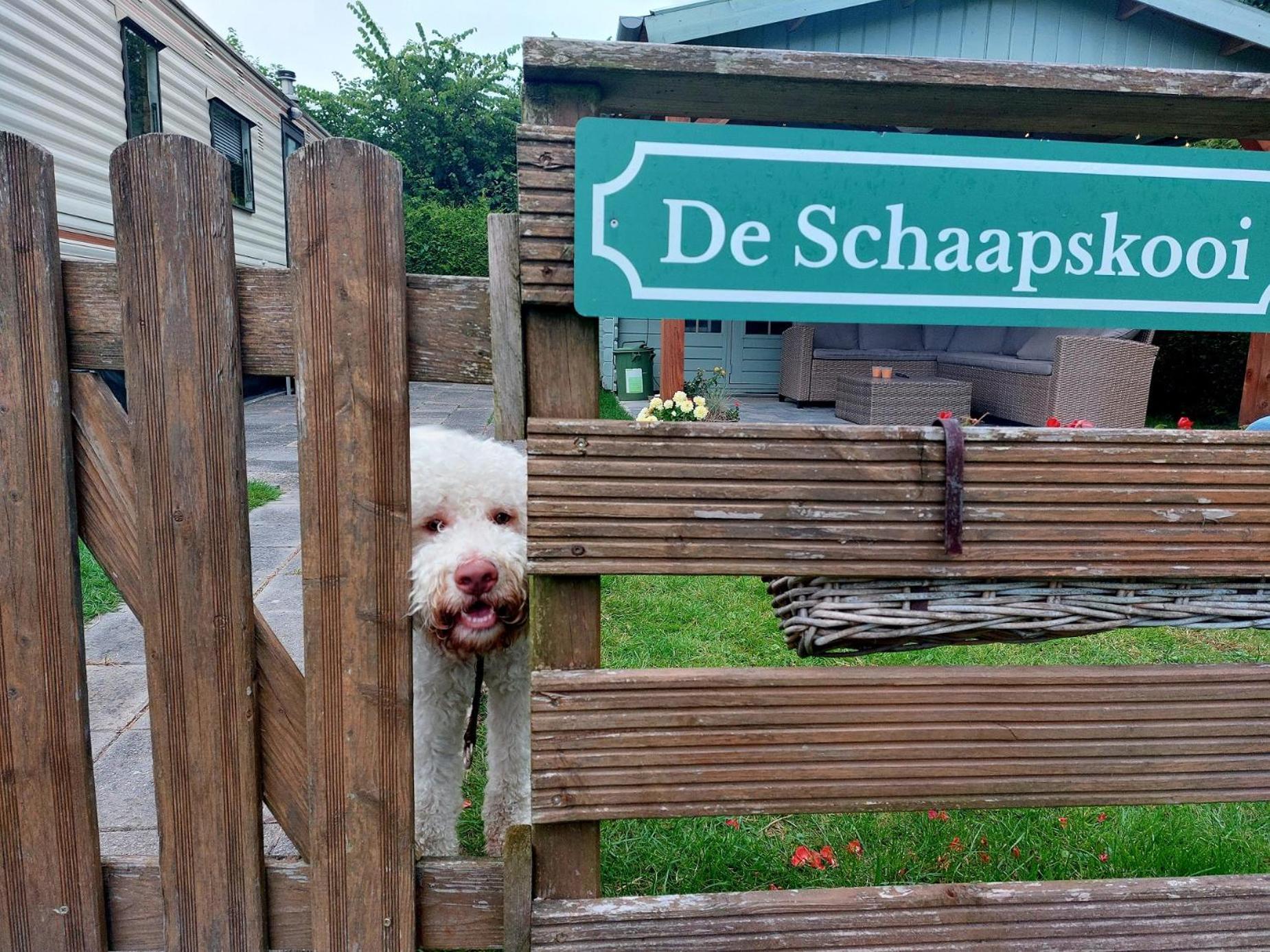 Familychalet De Schaapskooi, 6-Persons, Big Private Garden, Dogs Aloud Westergeest Luaran gambar